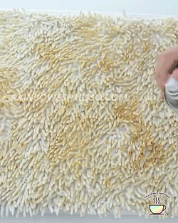 Espuma Limpiadora Multiusos — Carro, Cocina y Baño